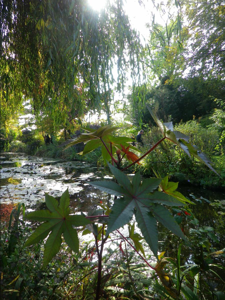 Maison et Jardine de Monet61